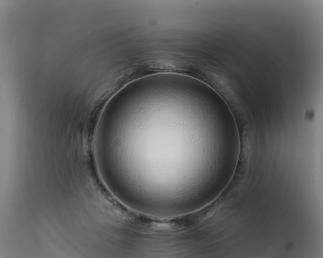 X0000112900457200908281729