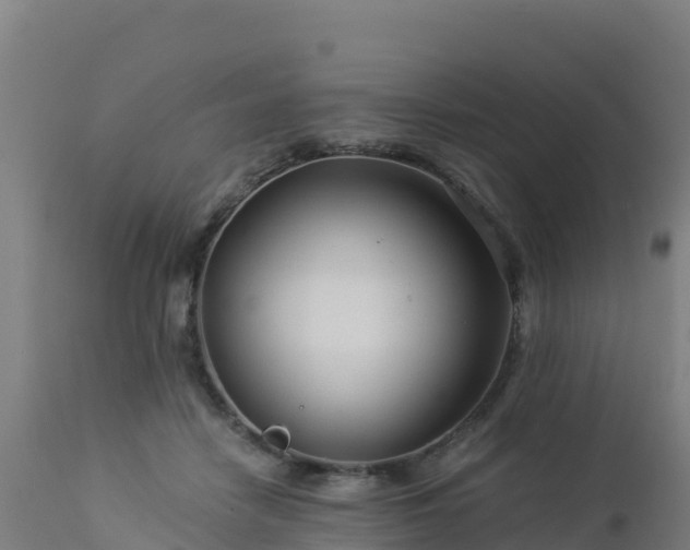 X0000112900458200908281729