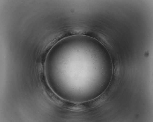 X0000112900459200908281729