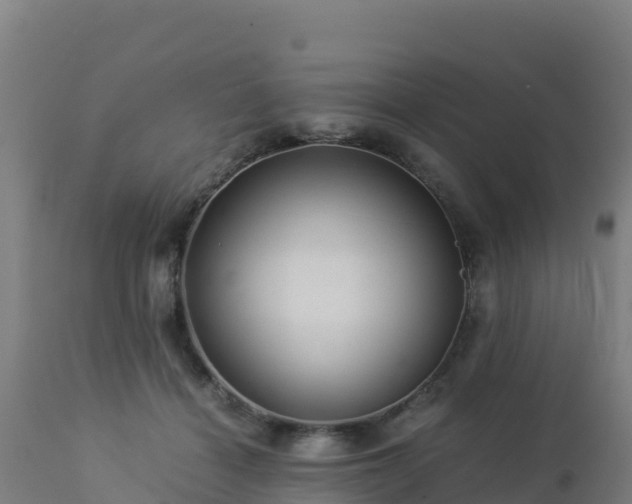 X0000112900460200908281729