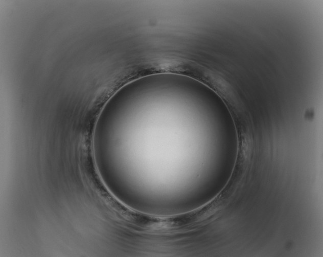 X0000112900461200908281729