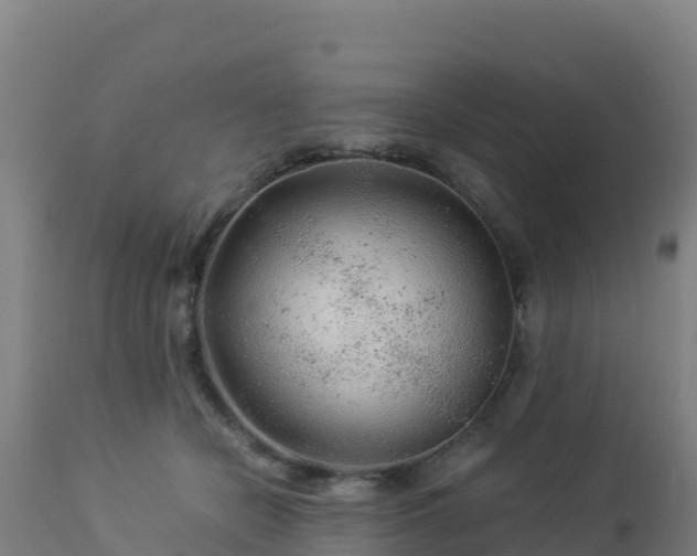 X0000112900462200908281730