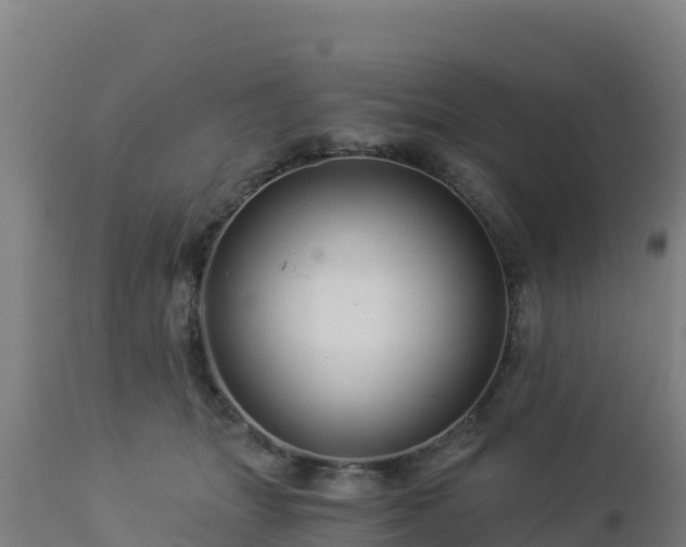 X0000112900463200908281730