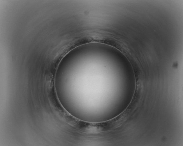 X0000112900464200908281730