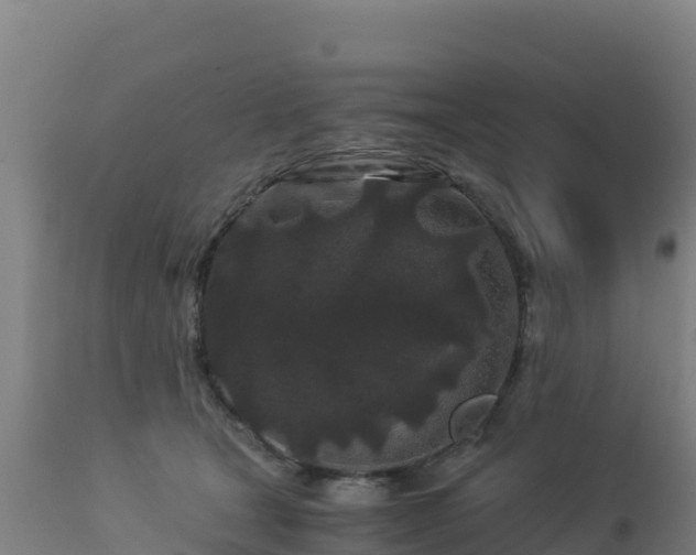 X0000112900465200908281730