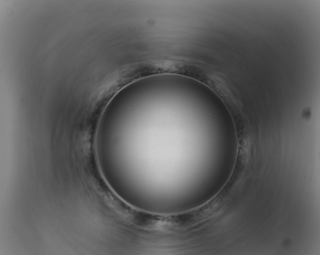 X0000112900466200908281730