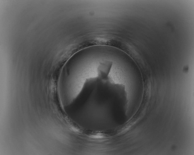 X0000112900467200908281730