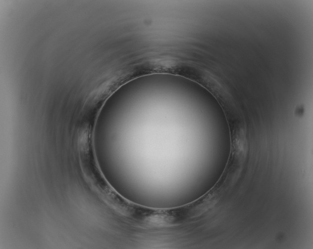 X0000112900468200908281730