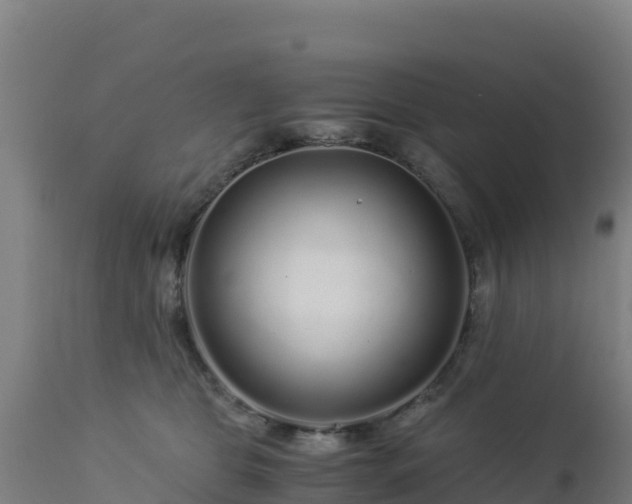 X0000112900469200908281730