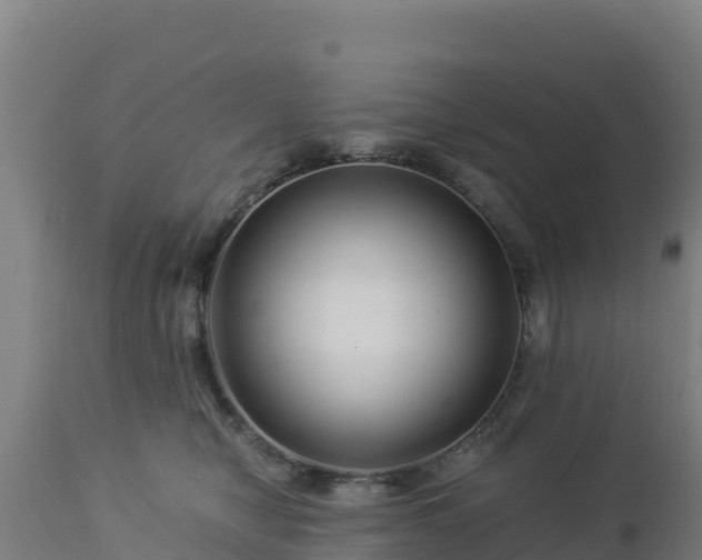 X0000112900470200908281730