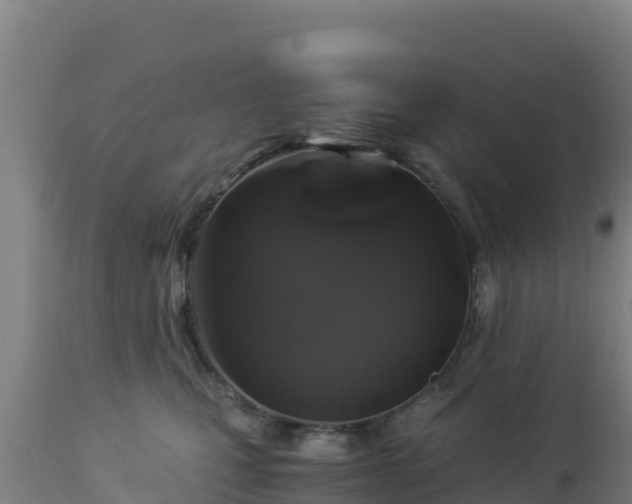 X0000112900471200908281730