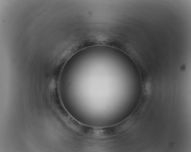 X0000112900472200908281730