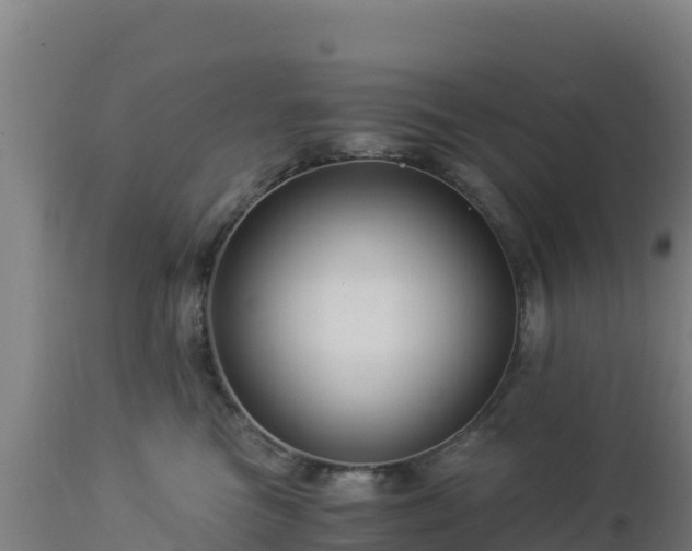 X0000112900473200908281730