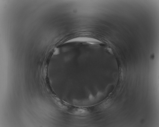 X0000112900475200908281730