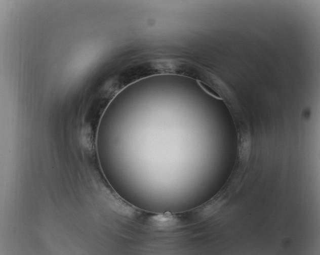 X0000112900477200908281730