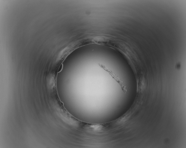 X0000112900478200908281730