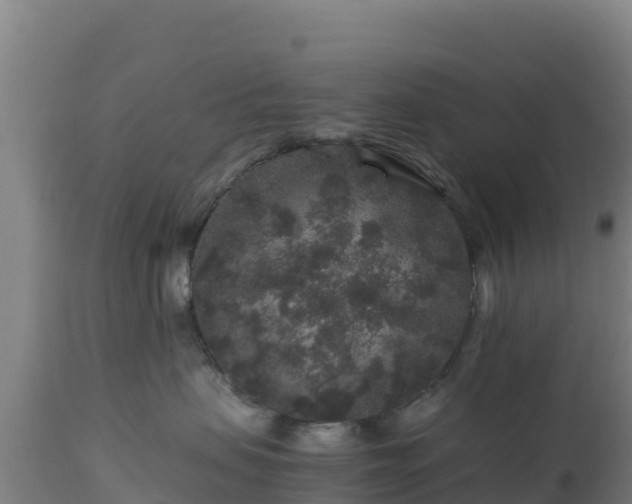 X0000112900479200908281730