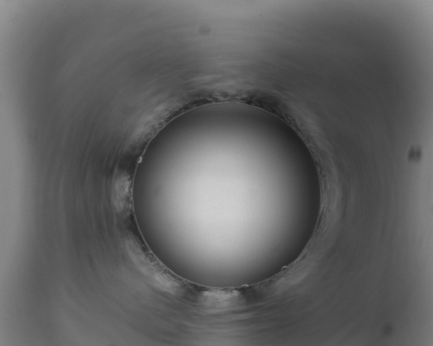 X0000112900480200908281730