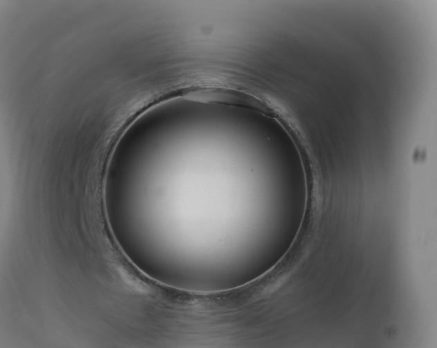 X0000112900481200908281729