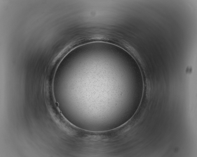 X0000112900482200908281729