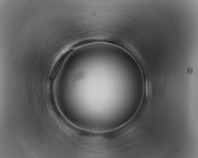 X0000112900483200908281729