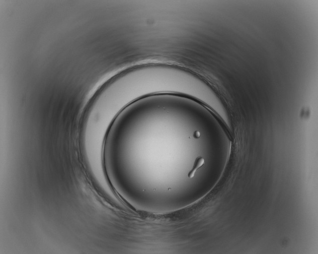 X0000112900484200908281729