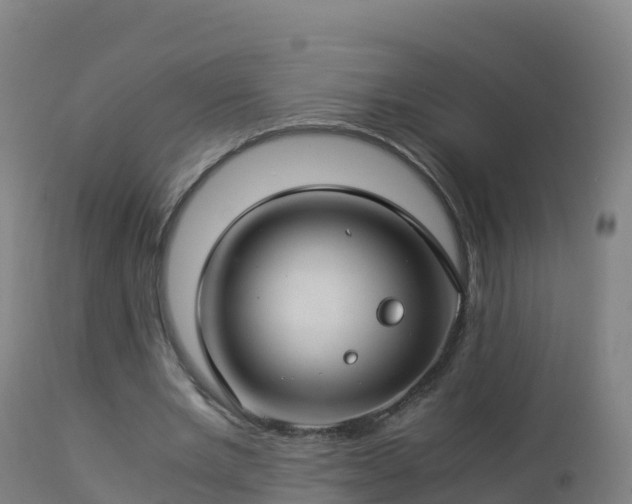 X0000112900485200908281729