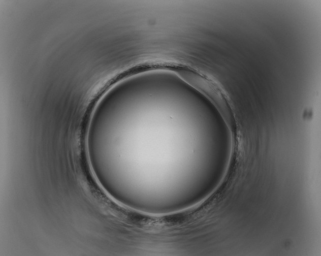 X0000112900487200908281729