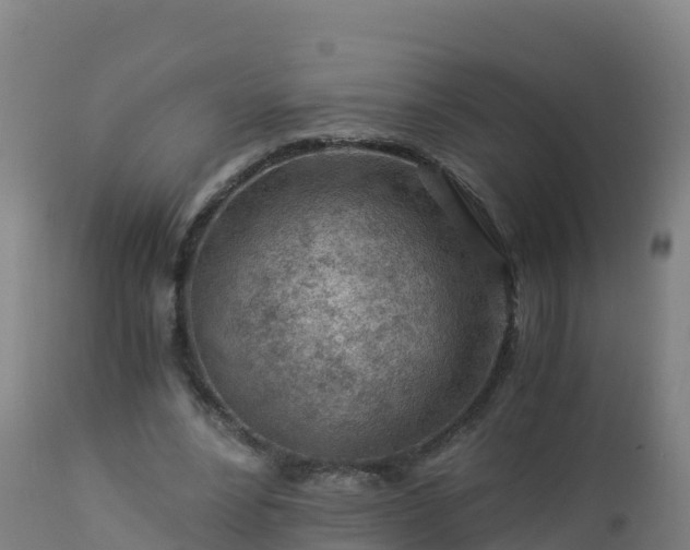 X0000112900488200908281729