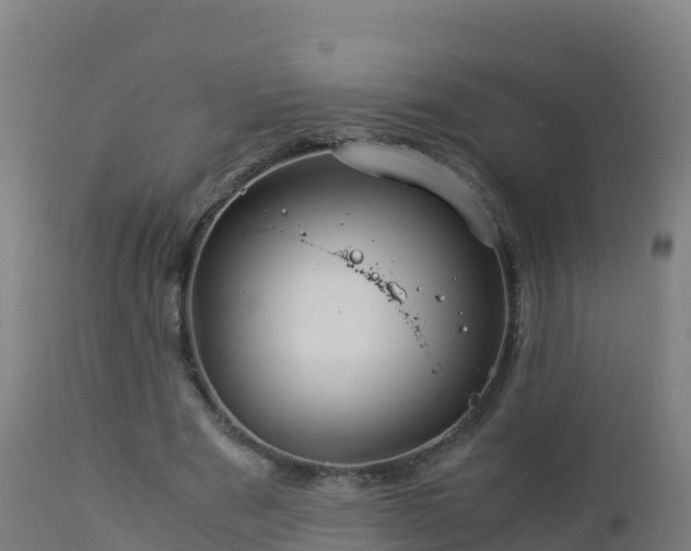 X0000112900489200908281729