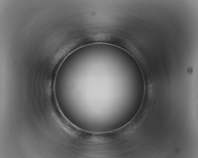 X0000112900490200908281729