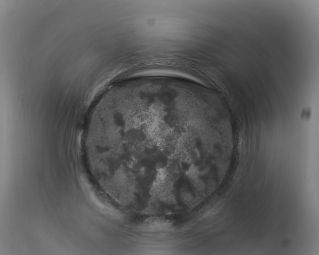 X0000112900491200908281729