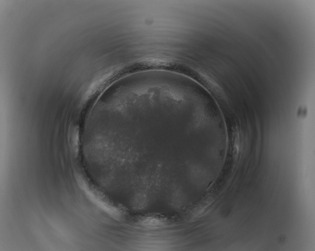 X0000112900494200908281729