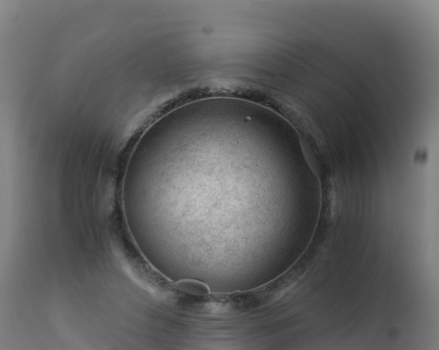 X0000112900496200908281729