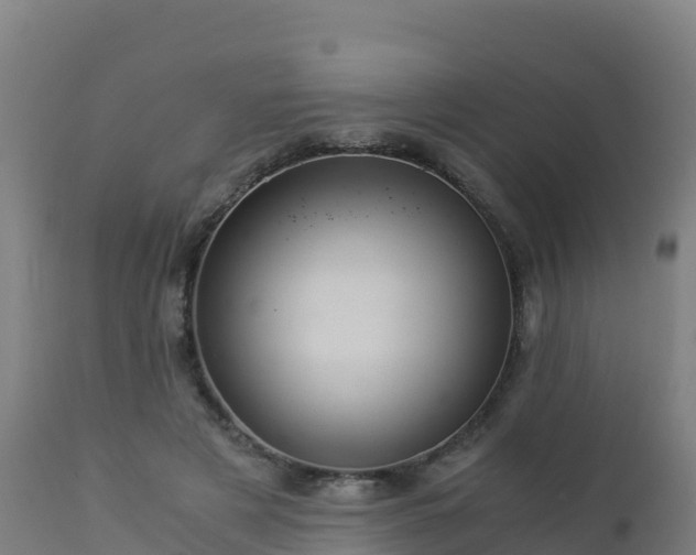 X0000112900497200908281729