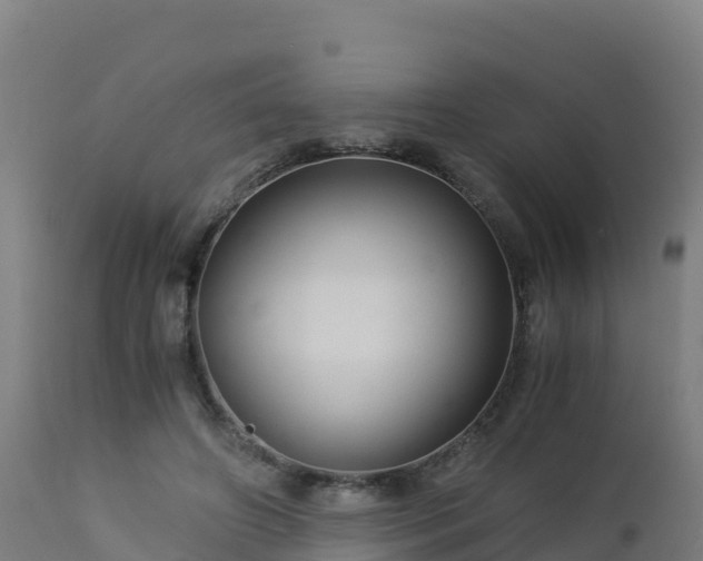 X0000112900498200908281729