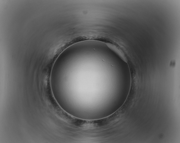 X0000112900499200908281729