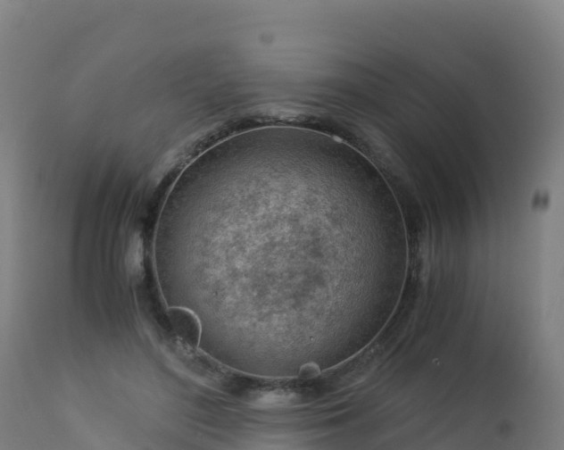 X0000112900500200908281729