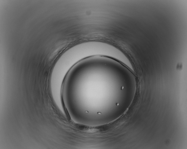 X0000112900501200908281729