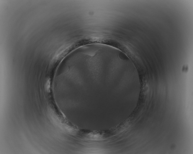 X0000112900502200908281729