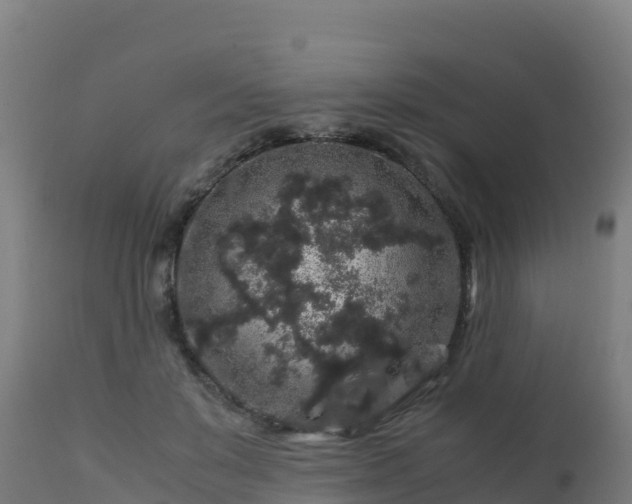 X0000112900503200908281729