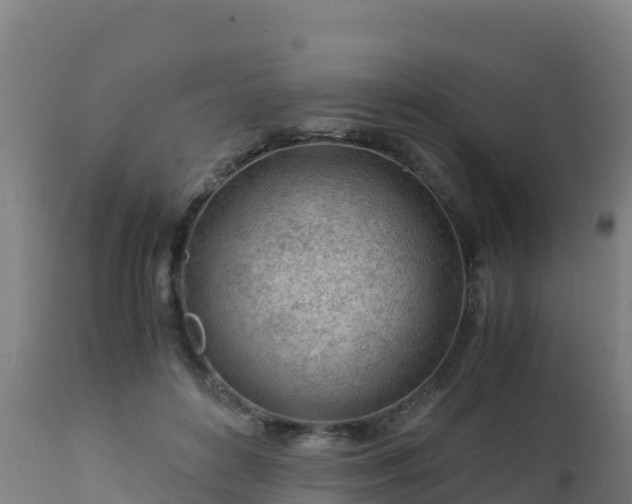 X0000112900504200908281729