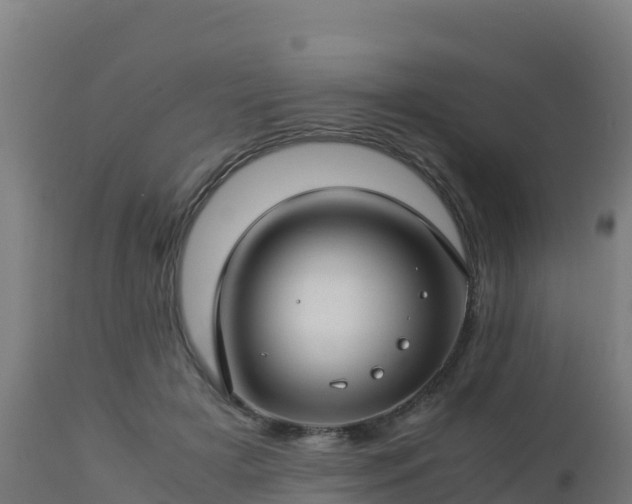 X0000112900505200908281729