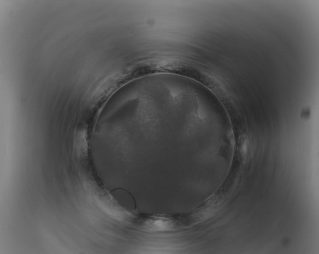 X0000112900506200908281729