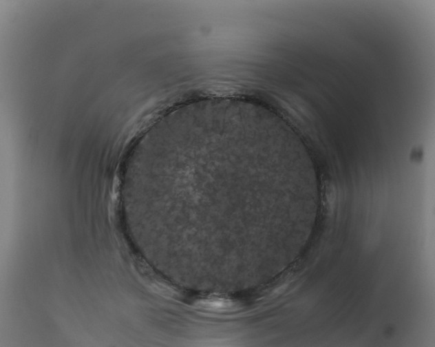 X0000112900507200908281729