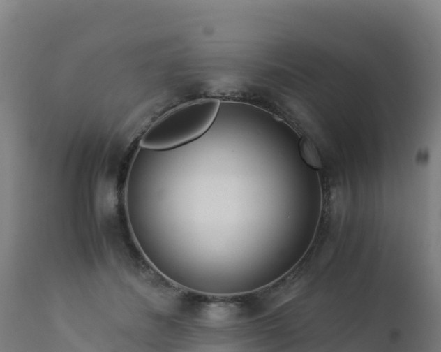 X0000112900508200908281729