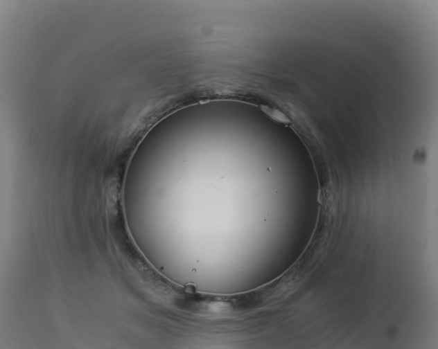 X0000112900509200908281729