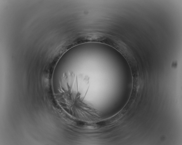 X0000112900510200908281729