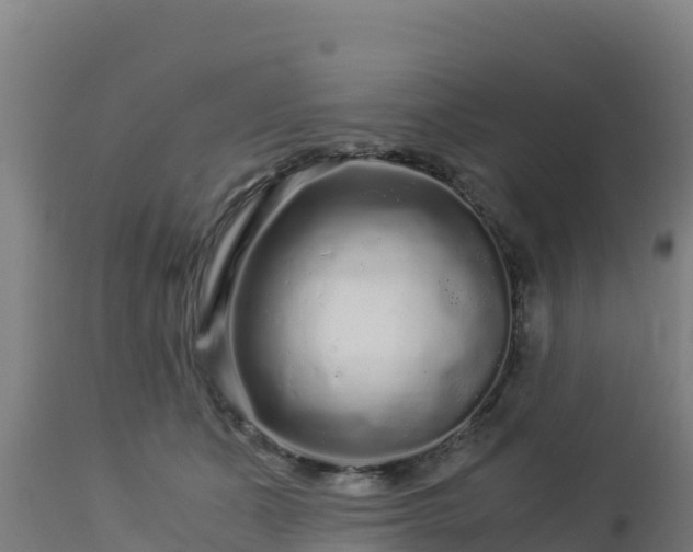 X0000112900511200908281729