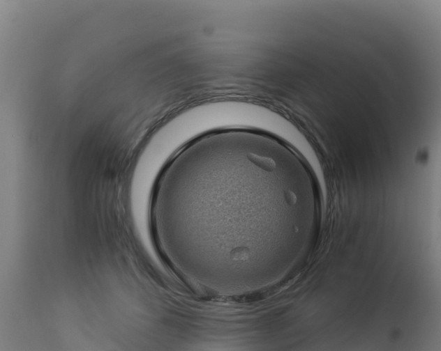 X0000112900512200908281729